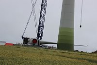 Bild: Energieversorger machen Wind