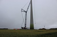 Bild: Energieversorger machen Wind