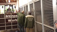 Bild: Ankunft in Worbis