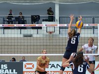 Bild: Volleyball in der Wiedigsburghalle