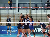 Bild: Volleyball in der Wiedigsburghalle