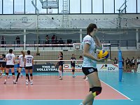 Bild: Volleyball in der Wiedigsburghalle