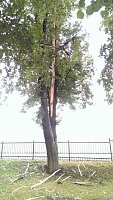 Bild: Unwetter in Niederorschel