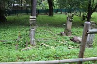 Bild: Sachbesch&auml;digung auf J&uuml;dischen Friedhof in Sondershausen