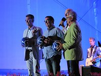 Bild: Sommernachtsball in Heiligenstadt