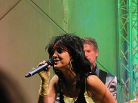 Bild: Sommernachtsball in Heiligenstadt
