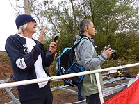 Bild: Start am Scheunenhof