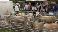 Bild: Erster Tag Bauernmarkt in Kallmerode