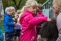 Therapiehunde unterwegs Bild: Therapiehunde unterwegs