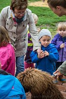 Therapiehunde unterwegs Bild: Therapiehunde unterwegs