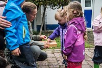 Therapiehunde unterwegs Bild: Therapiehunde unterwegs