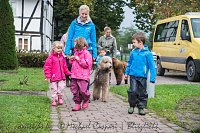 Therapiehunde unterwegs Bild: Therapiehunde unterwegs
