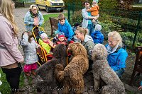Therapiehunde unterwegs Bild: Therapiehunde unterwegs