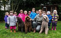 Therapiehunde unterwegs Bild: Therapiehunde unterwegs