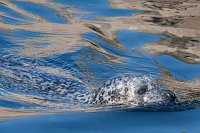 Besuch im Zoo am Meer Bild: Besuch im Zoo am Meer