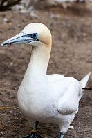 Besuch im Zoo am Meer Bild: Besuch im Zoo am Meer