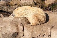 Besuch im Zoo am Meer Bild: Besuch im Zoo am Meer
