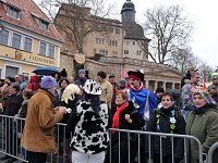 Bild: Rosenmontagsumzug2009