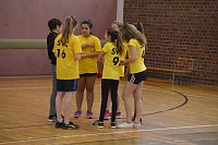 Volleyball in Nordhausen Bild: Volleyball in Nordhausen