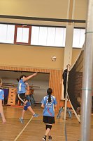 Volleyball in Nordhausen Bild: Volleyball in Nordhausen