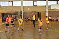 Volleyball in Nordhausen Bild: Volleyball in Nordhausen