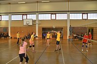 Volleyball in Nordhausen Bild: Volleyball in Nordhausen