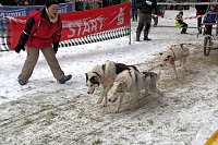 Schlittenhunderennen in Benneckenstein Bild: Schlittenhunderennen in Benneckenstein