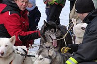 Schlittenhunderennen in Benneckenstein Bild: Schlittenhunderennen in Benneckenstein