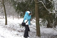Schlittenhunderennen in Benneckenstein Bild: Schlittenhunderennen in Benneckenstein