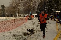 Schlittenhunderennen in Benneckenstein Bild: Schlittenhunderennen in Benneckenstein