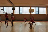 Neues vom Volleyball Bild: Neues vom Volleyball