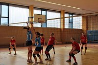Neues vom Volleyball Bild: Neues vom Volleyball