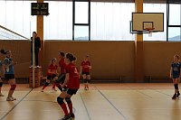 Neues vom Volleyball Bild: Neues vom Volleyball