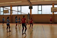 Neues vom Volleyball Bild: Neues vom Volleyball