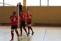 Neues vom Volleyball Bild: Neues vom Volleyball