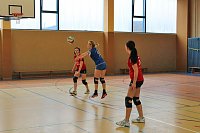 Neues vom Volleyball Bild: Neues vom Volleyball