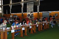 Bild: 2. Nordh&auml;user Tanzwettbewerb in Ballspielhalle.NNZ-City Scout on Tour