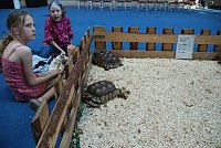 Bild: Welt der Reptilien in der Wiedingsburghalle