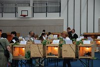 Bild: Welt der Reptilien in der Wiedingsburghalle