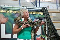 Bild: Welt der Reptilien in der Wiedingsburghalle