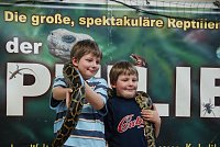 Bild: Welt der Reptilien in der Wiedingsburghalle
