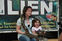 Bild: Welt der Reptilien in der Wiedingsburghalle