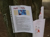 Bild: 85 Jahre Konrad-Hentrich-Schule
