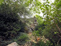 Bild: Der W&ouml;rlitzer Park