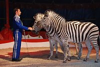 Bild: Circus Rolina gastiert in Nordhausen 
