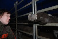 Bild: Circus Rolina gastiert in Nordhausen 