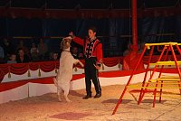 Bild: Circus Rolina gastiert in Nordhausen 
