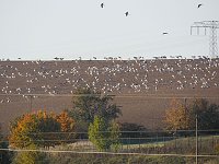 Bild: Die Flugschau ist er&ouml;ffnet