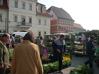 Pflanzenmarkt am Sonntag Bild: Pflanzenmarkt am Sonntag