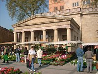 Pflanzenmarkt am Sonntag Bild: Pflanzenmarkt am Sonntag